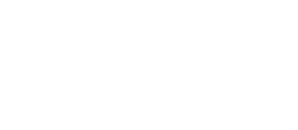 MMSI Logo